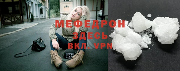 соль ск Ельня