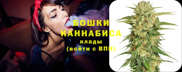 прущие грибы Елабуга