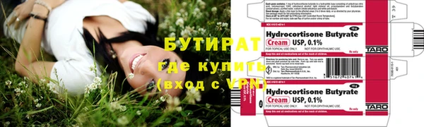 соль ск Ельня