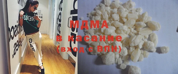 прущие грибы Елабуга