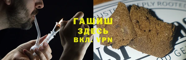 соль ск Ельня