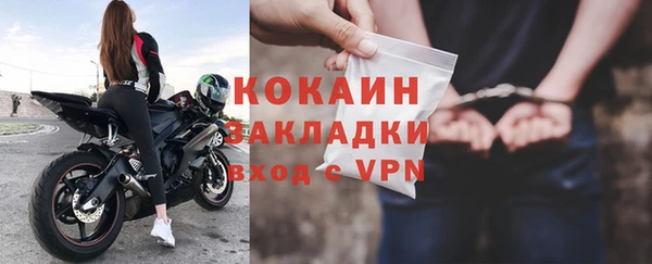 соль ск Ельня