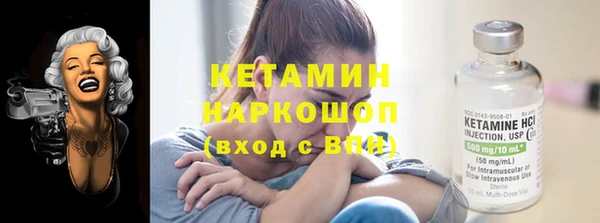 соль ск Ельня