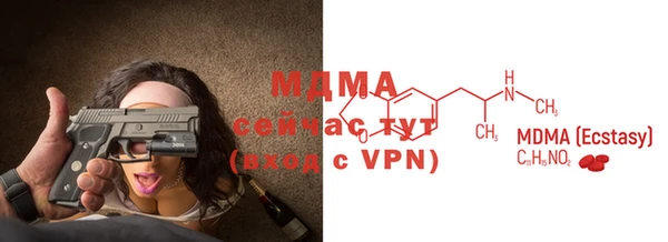 соль ск Ельня