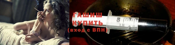 прущие грибы Елабуга