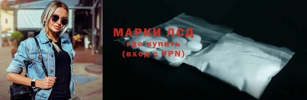 соль ск Ельня
