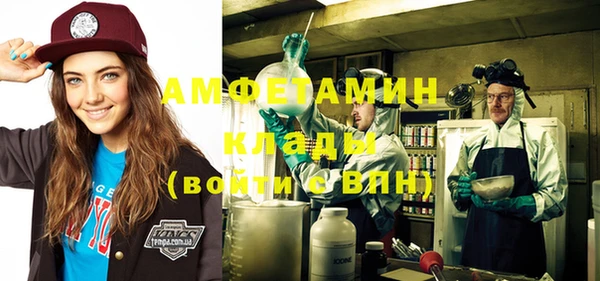 прущие грибы Елабуга