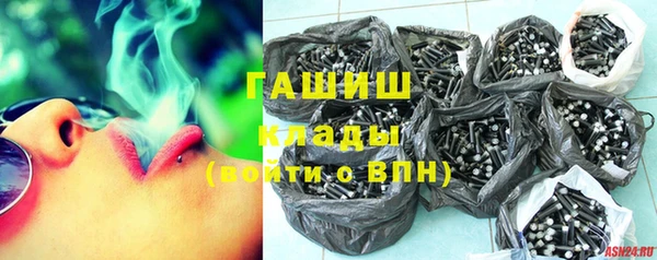 прущие грибы Елабуга