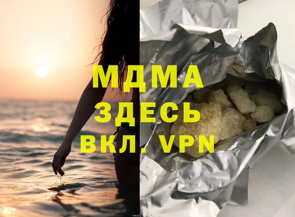 прущие грибы Елабуга