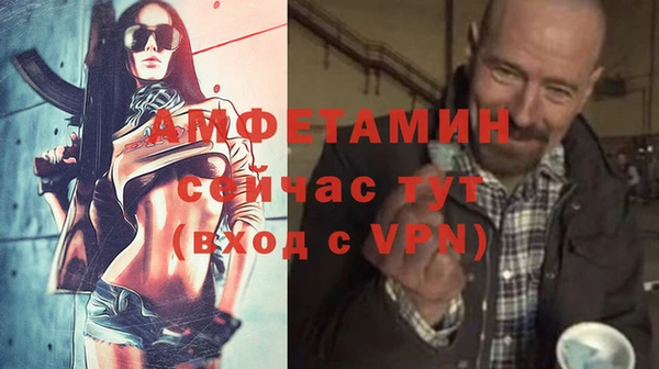 прущие грибы Елабуга