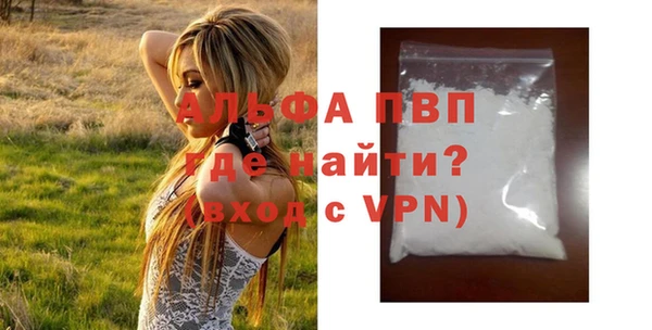 прущие грибы Елабуга