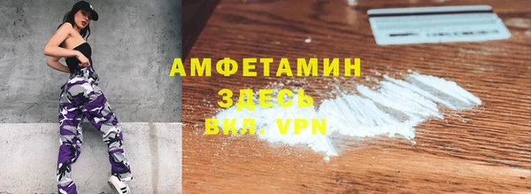 прущие грибы Елабуга