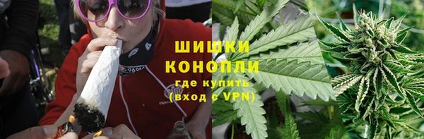 прущие грибы Елабуга