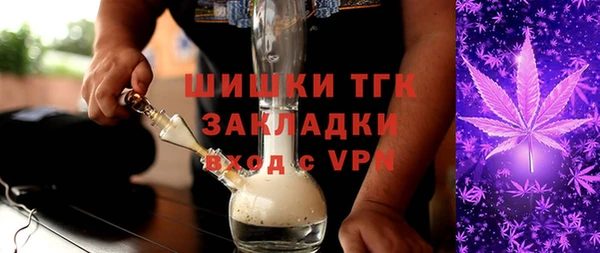 прущие грибы Елабуга