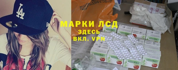 прущие грибы Елабуга