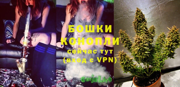 соль ск Ельня