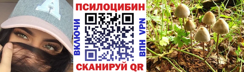 Галлюциногенные грибы мицелий Оханск